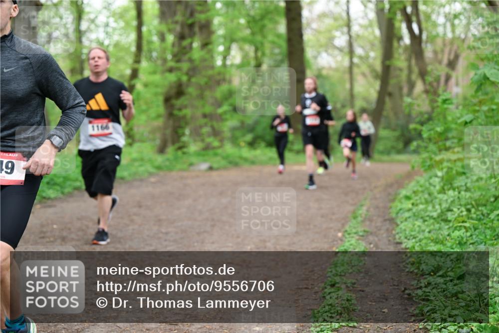 19.04.2026 - Hammer Lauf Dr. Thomas Lammeyer http://msf.ph/oto/9556706 19.04.2026 12:39:15 Laufen 1166 meine-sportfotos.de