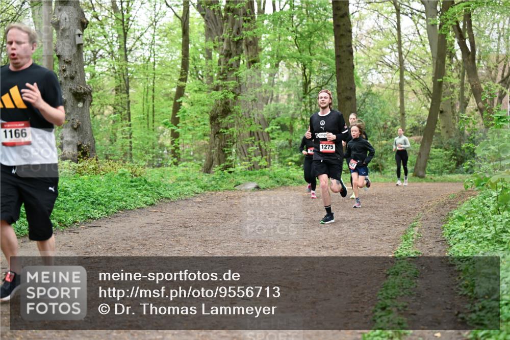 19.04.2026 - Hammer Lauf Dr. Thomas Lammeyer http://msf.ph/oto/9556713 19.04.2026 12:39:16 Laufen 1166, 1275 meine-sportfotos.de