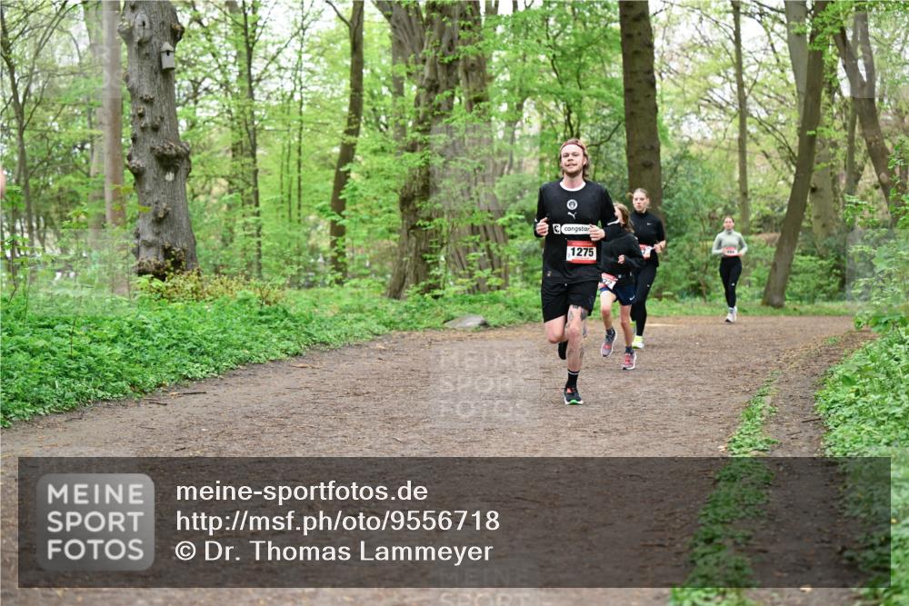 19.04.2026 - Hammer Lauf Dr. Thomas Lammeyer http://msf.ph/oto/9556718 19.04.2026 12:39:17 Laufen 1275 meine-sportfotos.de