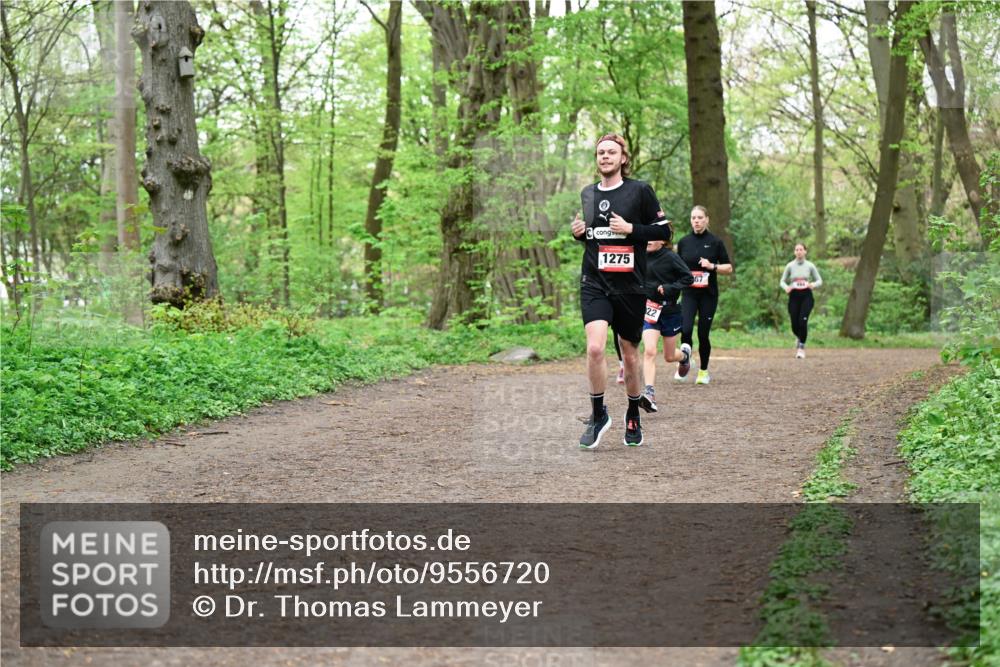 19.04.2026 - Hammer Lauf Dr. Thomas Lammeyer http://msf.ph/oto/9556720 19.04.2026 12:39:17 Laufen 1275 meine-sportfotos.de
