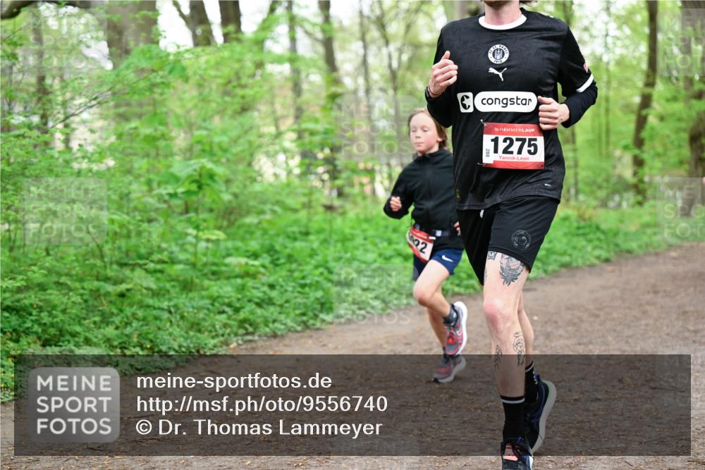 19.04.2026 - Hammer Lauf Dr. Thomas Lammeyer http://msf.ph/oto/9556740 19.04.2026 12:39:19 Laufen 1275 meine-sportfotos.de