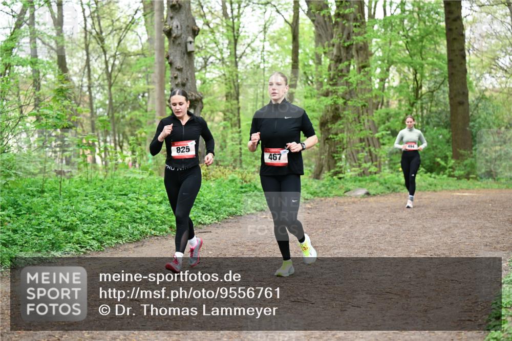 19.04.2026 - Hammer Lauf Dr. Thomas Lammeyer http://msf.ph/oto/9556761 19.04.2026 12:39:21 Laufen 825, 467 meine-sportfotos.de