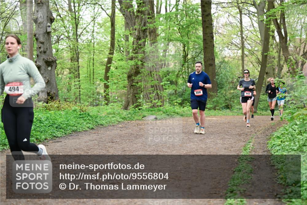 19.04.2026 - Hammer Lauf Dr. Thomas Lammeyer http://msf.ph/oto/9556804 19.04.2026 12:39:26 Laufen 494, 558, 443 meine-sportfotos.de