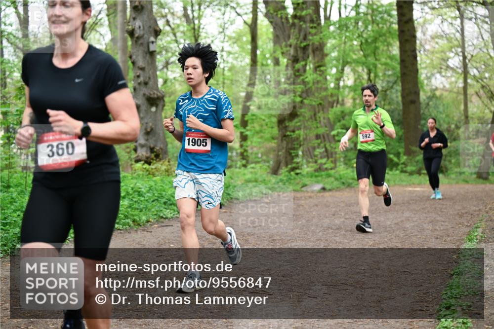 19.04.2026 - Hammer Lauf Dr. Thomas Lammeyer http://msf.ph/oto/9556847 19.04.2026 12:39:34 Laufen 360, 1905, 592 meine-sportfotos.de