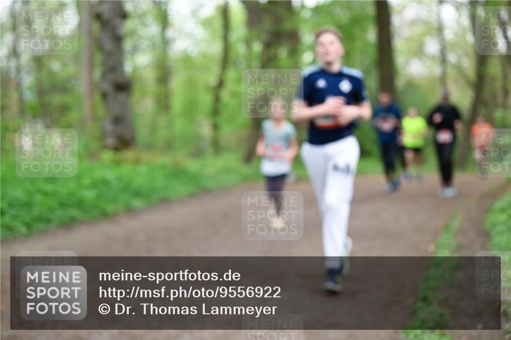 19.04.2026 - Hammer Lauf Dr. Thomas Lammeyer http://msf.ph/oto/9556922 19.04.2026 12:39:47 Laufen  meine-sportfotos.de