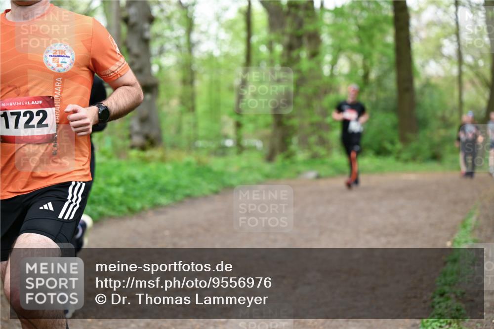 19.04.2026 - Hammer Lauf Dr. Thomas Lammeyer http://msf.ph/oto/9556976 19.04.2026 12:39:55 Laufen 1722 meine-sportfotos.de