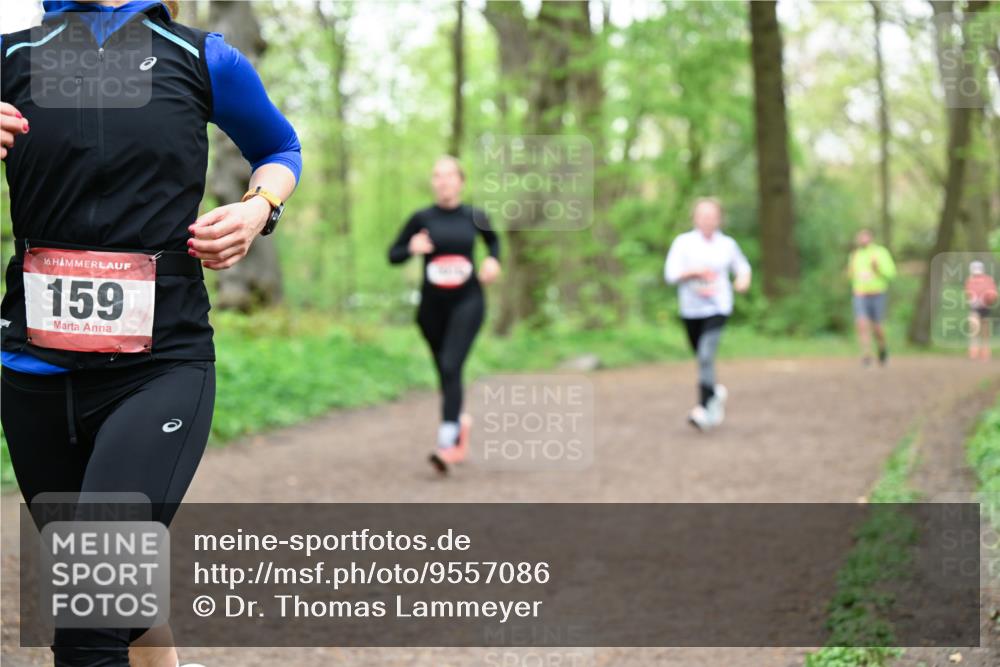 19.04.2026 - Hammer Lauf Dr. Thomas Lammeyer http://msf.ph/oto/9557086 19.04.2026 12:40:13 Laufen 159 meine-sportfotos.de