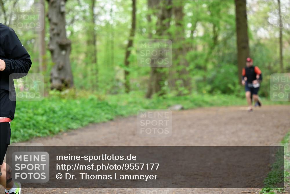 19.04.2026 - Hammer Lauf Dr. Thomas Lammeyer http://msf.ph/oto/9557177 19.04.2026 12:40:27 Laufen  meine-sportfotos.de