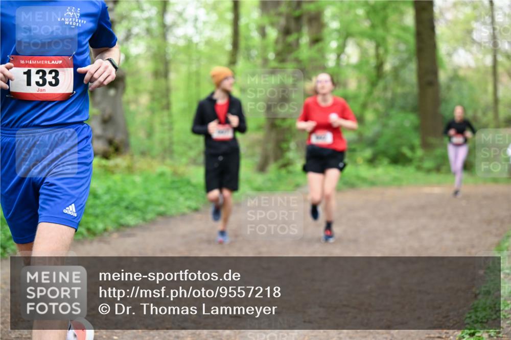 19.04.2026 - Hammer Lauf Dr. Thomas Lammeyer http://msf.ph/oto/9557218 19.04.2026 12:40:34 Laufen 222, 133 meine-sportfotos.de