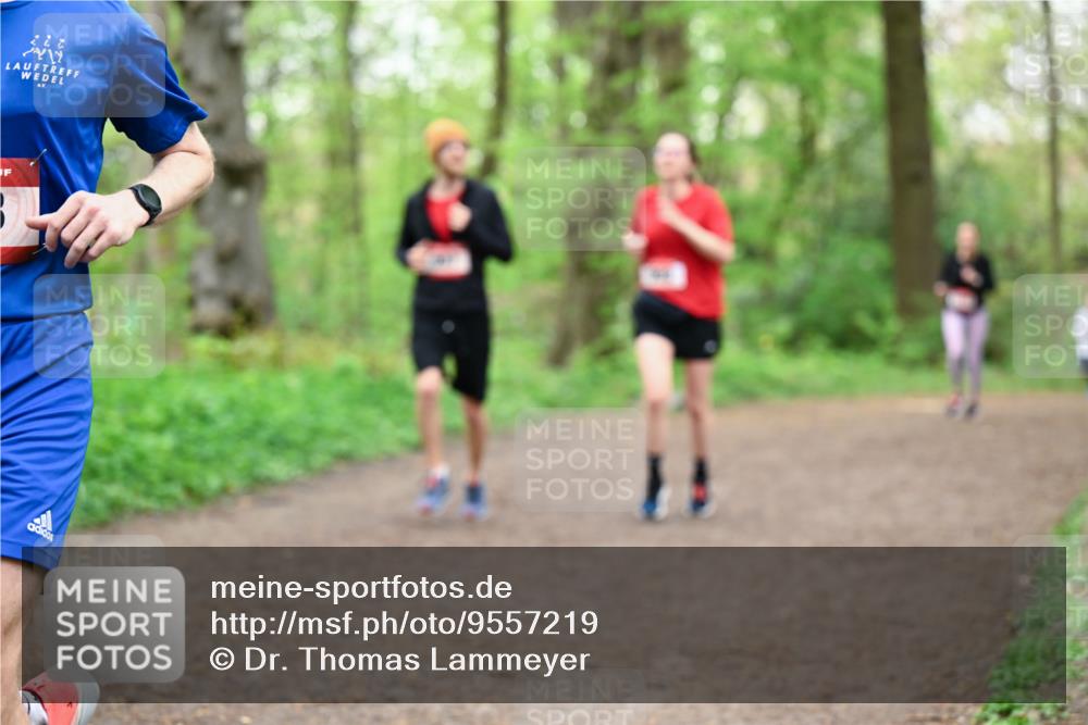 19.04.2026 - Hammer Lauf Dr. Thomas Lammeyer http://msf.ph/oto/9557219 19.04.2026 12:40:34 Laufen 228 meine-sportfotos.de