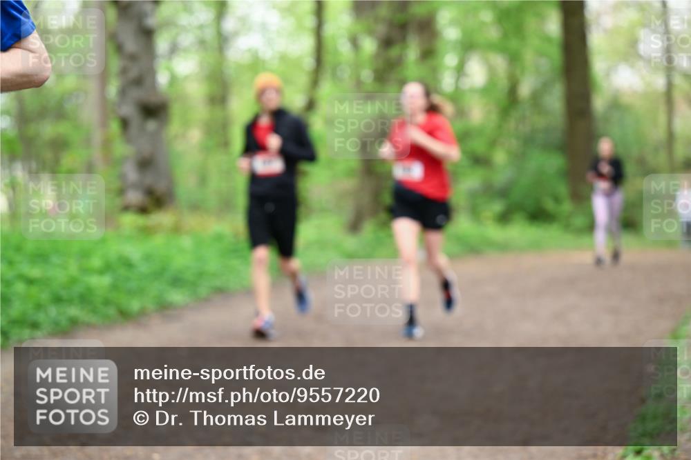 19.04.2026 - Hammer Lauf Dr. Thomas Lammeyer http://msf.ph/oto/9557220 19.04.2026 12:40:34 Laufen  meine-sportfotos.de