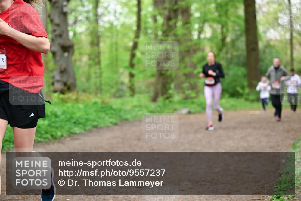 19.04.2026 - Hammer Lauf Dr. Thomas Lammeyer http://msf.ph/oto/9557237 19.04.2026 12:40:36 Laufen 265 meine-sportfotos.de