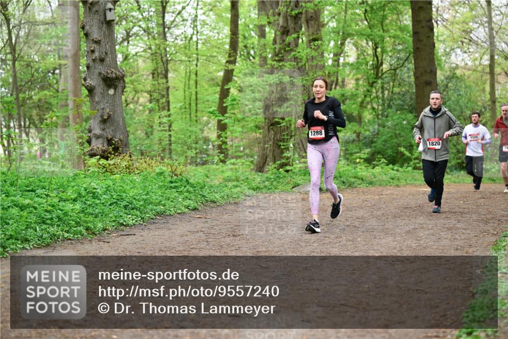 19.04.2026 - Hammer Lauf Dr. Thomas Lammeyer http://msf.ph/oto/9557240 19.04.2026 12:40:37 Laufen 1288, 1820, 1588 meine-sportfotos.de