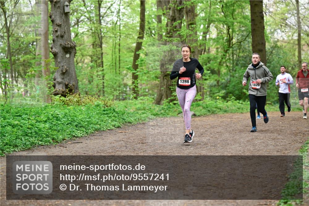 19.04.2026 - Hammer Lauf Dr. Thomas Lammeyer http://msf.ph/oto/9557241 19.04.2026 12:40:37 Laufen 1288, 1820, 1924 meine-sportfotos.de