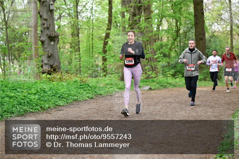 19.04.2026 - Hammer Lauf Dr. Thomas Lammeyer http://msf.ph/oto/9557243 19.04.2026 12:40:38 Laufen 1288, 1820, 1504, 1924 meine-sportfotos.de