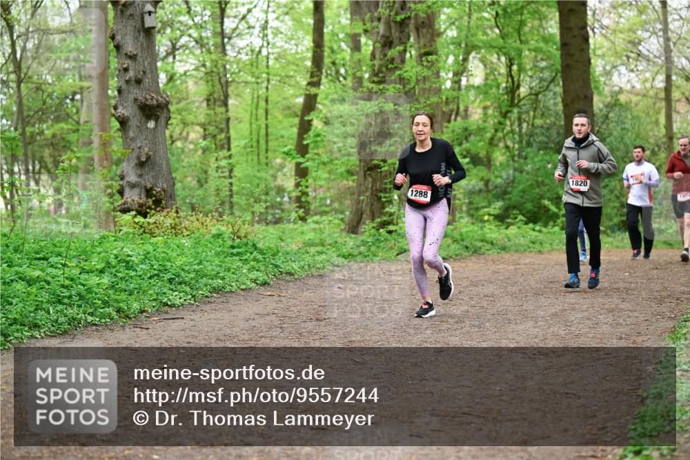 19.04.2026 - Hammer Lauf Dr. Thomas Lammeyer http://msf.ph/oto/9557244 19.04.2026 12:40:37 Laufen 1288, 1820, 1924 meine-sportfotos.de