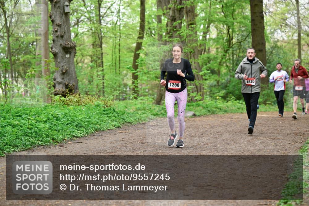19.04.2026 - Hammer Lauf Dr. Thomas Lammeyer http://msf.ph/oto/9557245 19.04.2026 12:40:38 Laufen 1820, 1288, 1924 meine-sportfotos.de