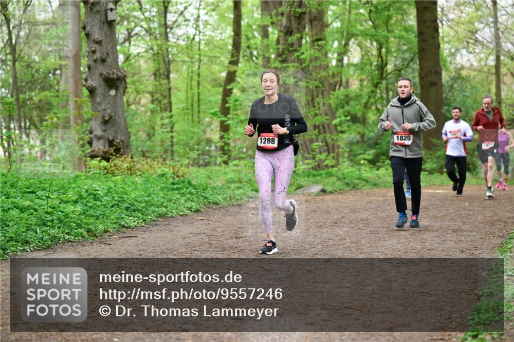 19.04.2026 - Hammer Lauf Dr. Thomas Lammeyer http://msf.ph/oto/9557246 19.04.2026 12:40:38 Laufen 1288, 1820, 1929 meine-sportfotos.de