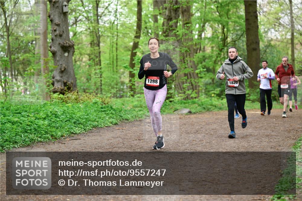 19.04.2026 - Hammer Lauf Dr. Thomas Lammeyer http://msf.ph/oto/9557247 19.04.2026 12:40:38 Laufen 1288, 1820 meine-sportfotos.de