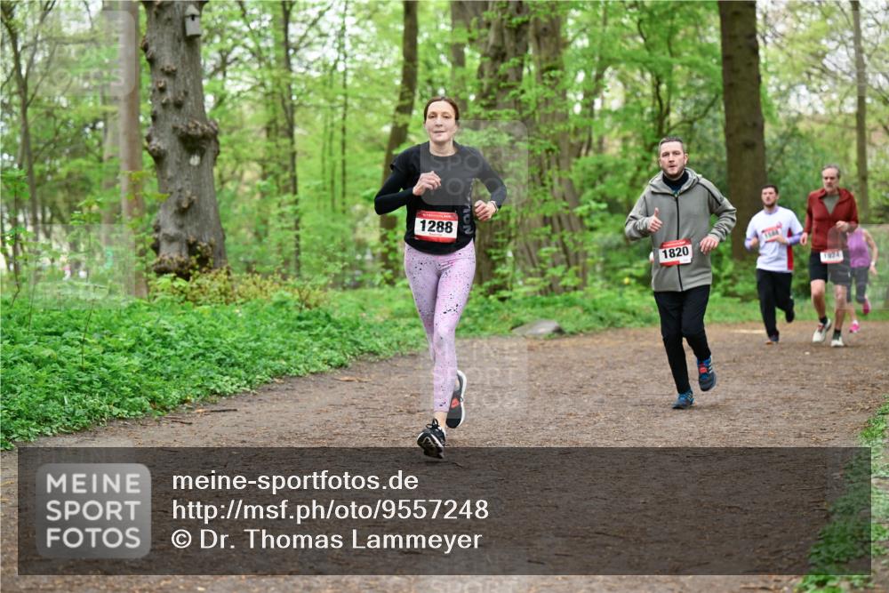 19.04.2026 - Hammer Lauf Dr. Thomas Lammeyer http://msf.ph/oto/9557248 19.04.2026 12:40:38 Laufen 1288, 1820, 1144, 1024 meine-sportfotos.de