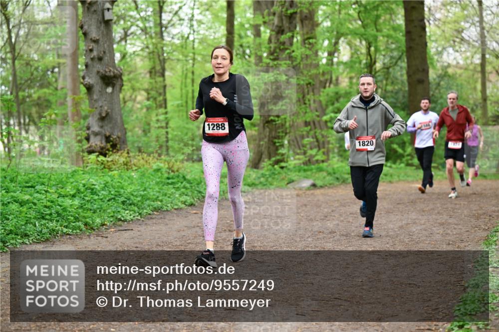 19.04.2026 - Hammer Lauf Dr. Thomas Lammeyer http://msf.ph/oto/9557249 19.04.2026 12:40:38 Laufen 1288, 1820 meine-sportfotos.de