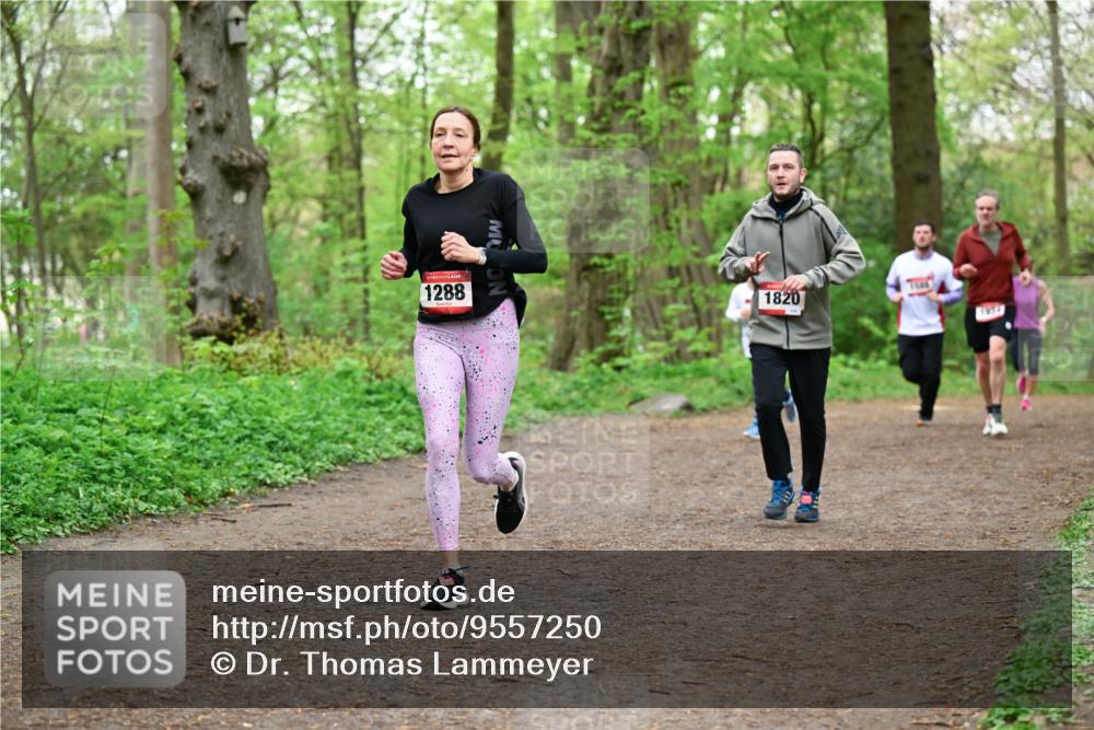 19.04.2026 - Hammer Lauf Dr. Thomas Lammeyer http://msf.ph/oto/9557250 19.04.2026 12:40:39 Laufen 1288, 1820, 1644, 1924 meine-sportfotos.de