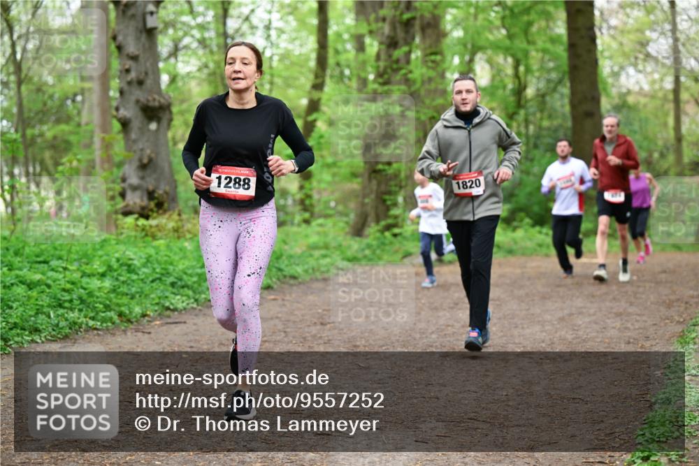 19.04.2026 - Hammer Lauf Dr. Thomas Lammeyer http://msf.ph/oto/9557252 19.04.2026 12:40:39 Laufen 1288, 1820 meine-sportfotos.de