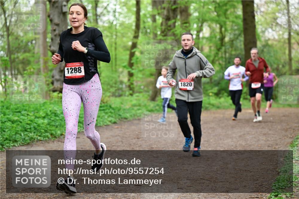 19.04.2026 - Hammer Lauf Dr. Thomas Lammeyer http://msf.ph/oto/9557254 19.04.2026 12:40:39 Laufen 1288, 1820 meine-sportfotos.de