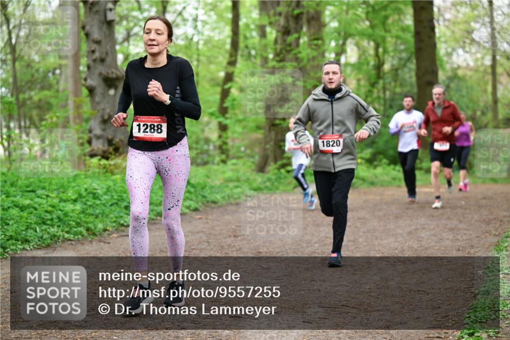 19.04.2026 - Hammer Lauf Dr. Thomas Lammeyer http://msf.ph/oto/9557255 19.04.2026 12:40:39 Laufen 1288, 1820 meine-sportfotos.de