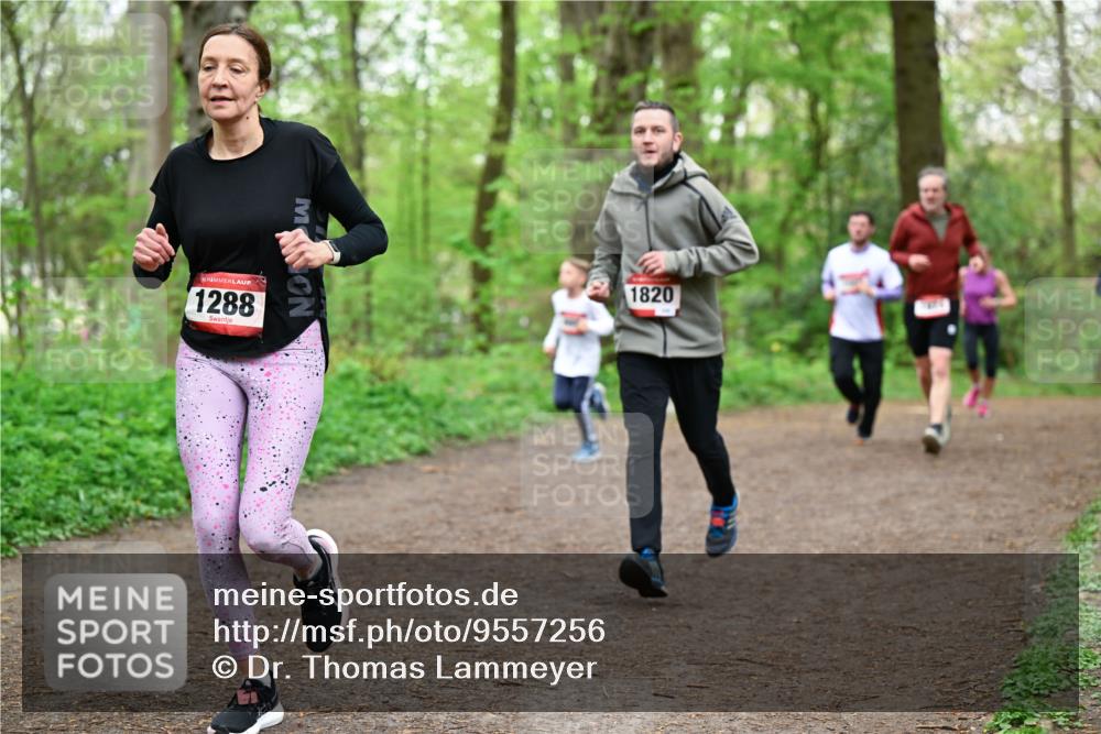 19.04.2026 - Hammer Lauf Dr. Thomas Lammeyer http://msf.ph/oto/9557256 19.04.2026 12:40:39 Laufen 1288, 1820 meine-sportfotos.de