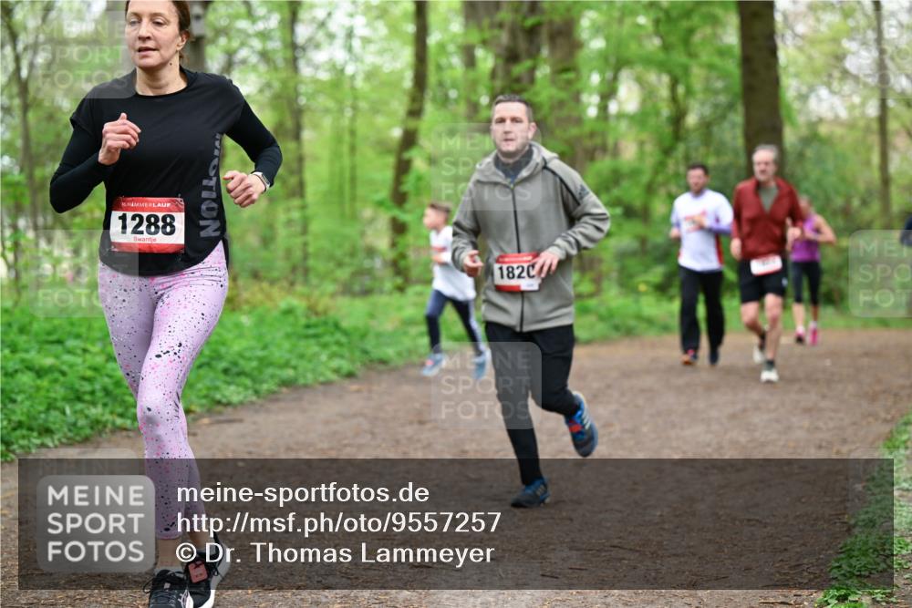 19.04.2026 - Hammer Lauf Dr. Thomas Lammeyer http://msf.ph/oto/9557257 19.04.2026 12:40:39 Laufen 1288, 1820 meine-sportfotos.de