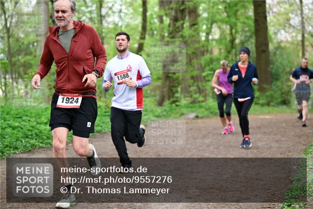 19.04.2026 - Hammer Lauf Dr. Thomas Lammeyer http://msf.ph/oto/9557276 19.04.2026 12:40:43 Laufen 1924, 1588 meine-sportfotos.de