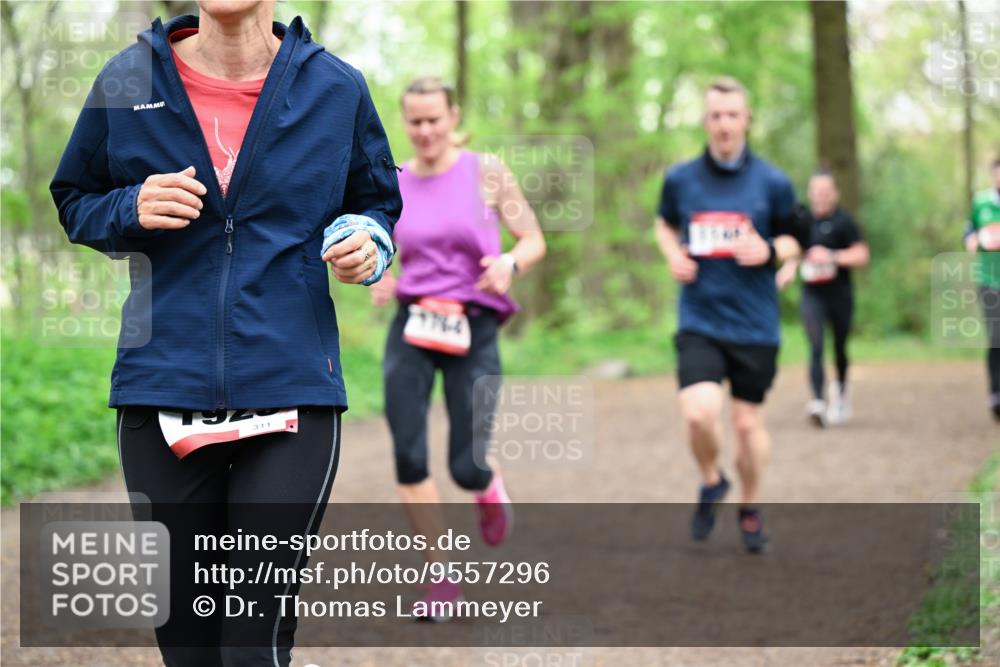 19.04.2026 - Hammer Lauf Dr. Thomas Lammeyer http://msf.ph/oto/9557296 19.04.2026 12:40:46 Laufen 1929, 311, 71764 meine-sportfotos.de