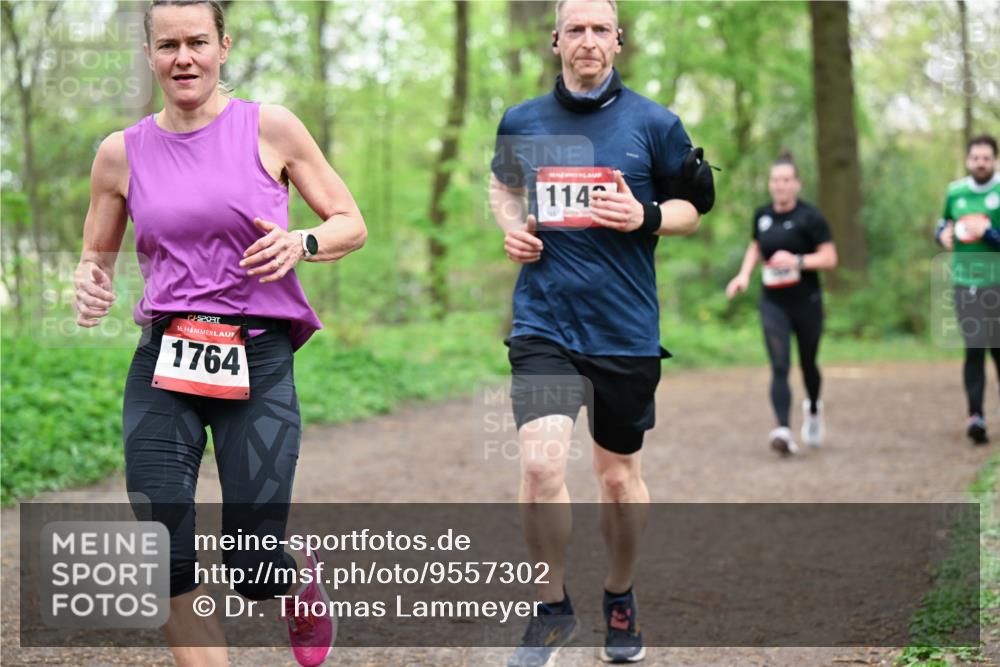 19.04.2026 - Hammer Lauf Dr. Thomas Lammeyer http://msf.ph/oto/9557302 19.04.2026 12:40:46 Laufen 1764, 114 meine-sportfotos.de