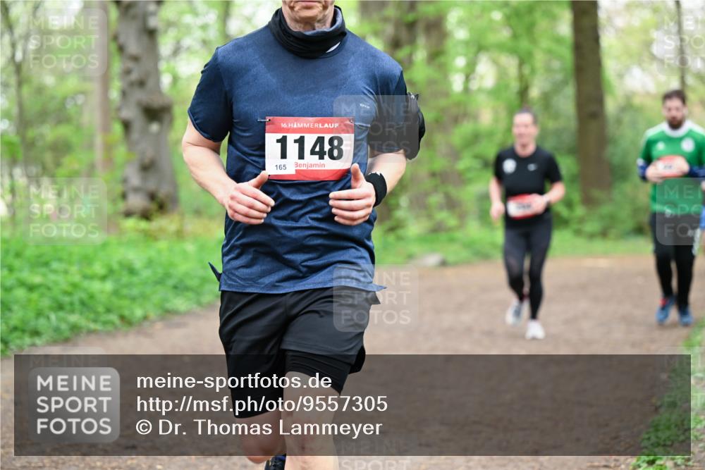 19.04.2026 - Hammer Lauf Dr. Thomas Lammeyer http://msf.ph/oto/9557305 19.04.2026 12:40:47 Laufen 1148, 165 meine-sportfotos.de