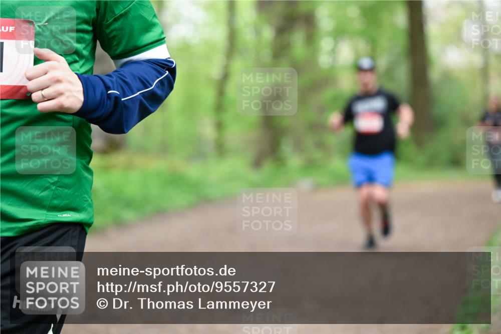 19.04.2026 - Hammer Lauf Dr. Thomas Lammeyer http://msf.ph/oto/9557327 19.04.2026 12:40:50 Laufen  meine-sportfotos.de