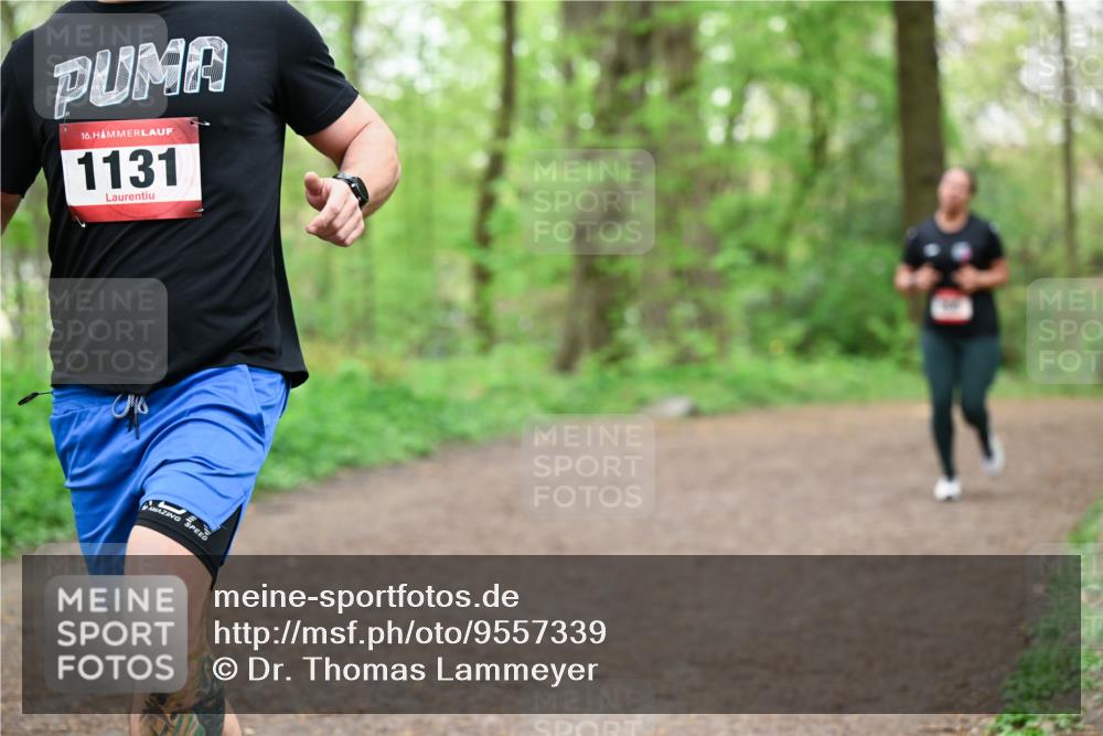 19.04.2026 - Hammer Lauf Dr. Thomas Lammeyer http://msf.ph/oto/9557339 19.04.2026 12:40:52 Laufen 1131 meine-sportfotos.de