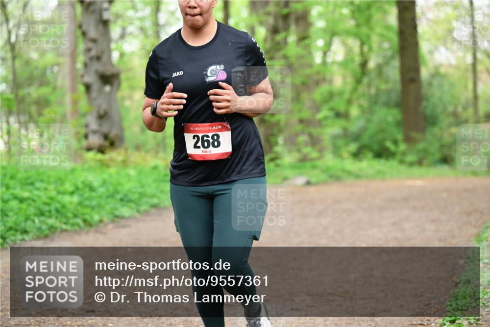 19.04.2026 - Hammer Lauf Dr. Thomas Lammeyer http://msf.ph/oto/9557361 19.04.2026 12:40:55 Laufen 268 meine-sportfotos.de