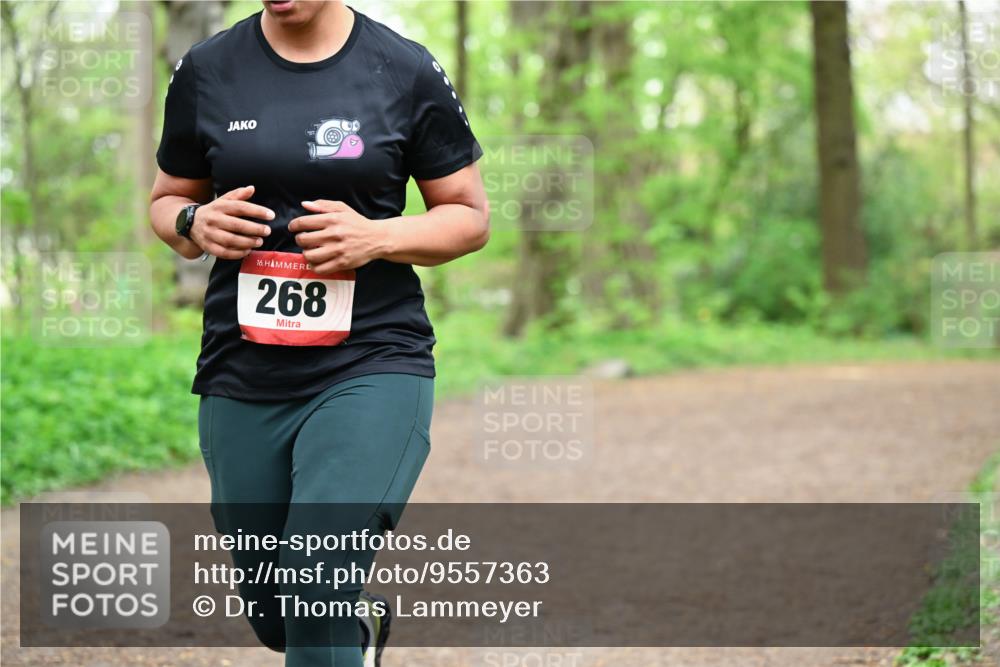 19.04.2026 - Hammer Lauf Dr. Thomas Lammeyer http://msf.ph/oto/9557363 19.04.2026 12:40:56 Laufen 268 meine-sportfotos.de