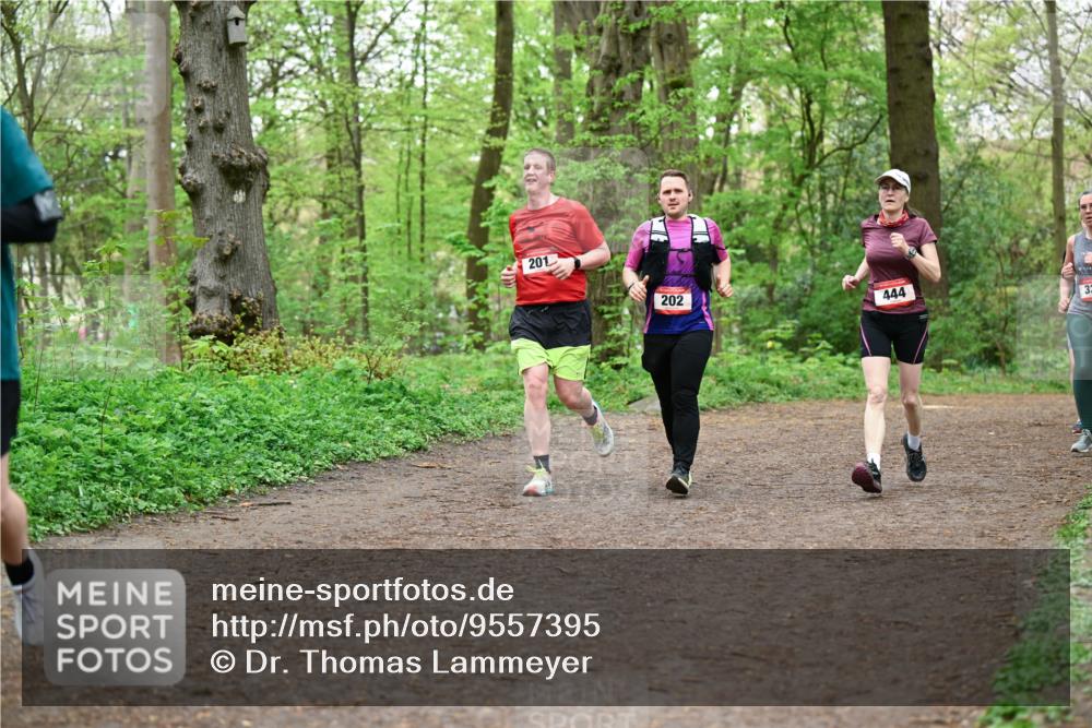 19.04.2026 - Hammer Lauf Dr. Thomas Lammeyer http://msf.ph/oto/9557395 19.04.2026 12:41:10 Laufen 201, 202, 444 meine-sportfotos.de