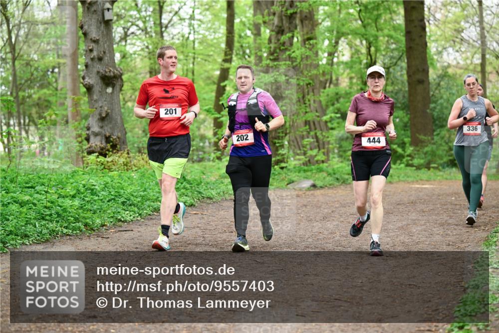 19.04.2026 - Hammer Lauf Dr. Thomas Lammeyer http://msf.ph/oto/9557403 19.04.2026 12:41:11 Laufen 2015, 201, 202, 444, 336 meine-sportfotos.de