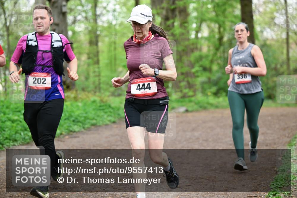 19.04.2026 - Hammer Lauf Dr. Thomas Lammeyer http://msf.ph/oto/9557413 19.04.2026 12:41:13 Laufen 202, 444, 336 meine-sportfotos.de