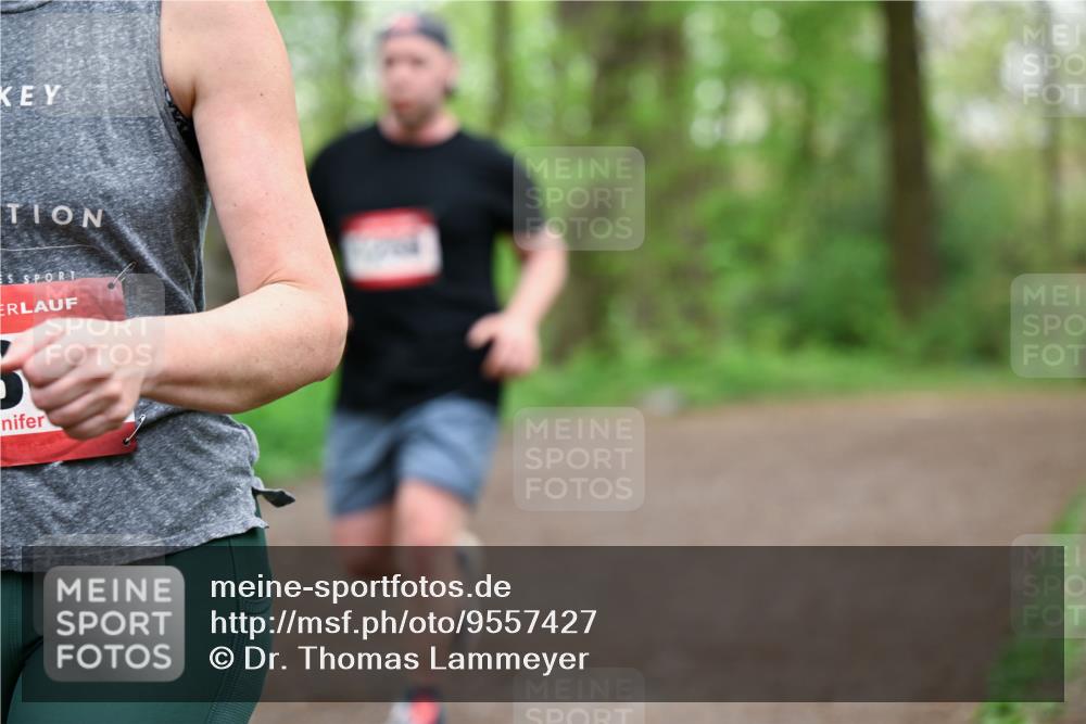 19.04.2026 - Hammer Lauf Dr. Thomas Lammeyer http://msf.ph/oto/9557427 19.04.2026 12:41:15 Laufen  meine-sportfotos.de