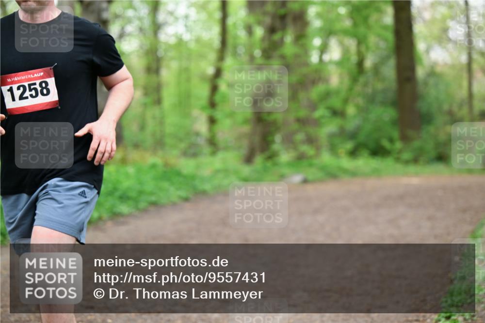 19.04.2026 - Hammer Lauf Dr. Thomas Lammeyer http://msf.ph/oto/9557431 19.04.2026 12:41:15 Laufen 1258 meine-sportfotos.de