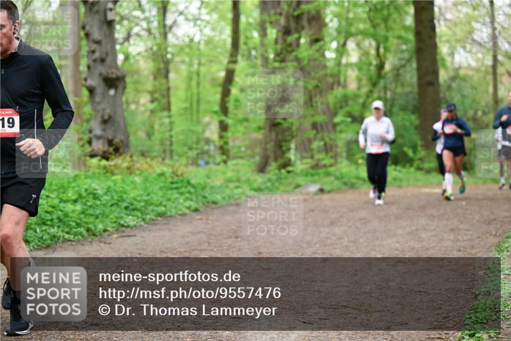 19.04.2026 - Hammer Lauf Dr. Thomas Lammeyer http://msf.ph/oto/9557476 19.04.2026 12:41:41 Laufen  meine-sportfotos.de