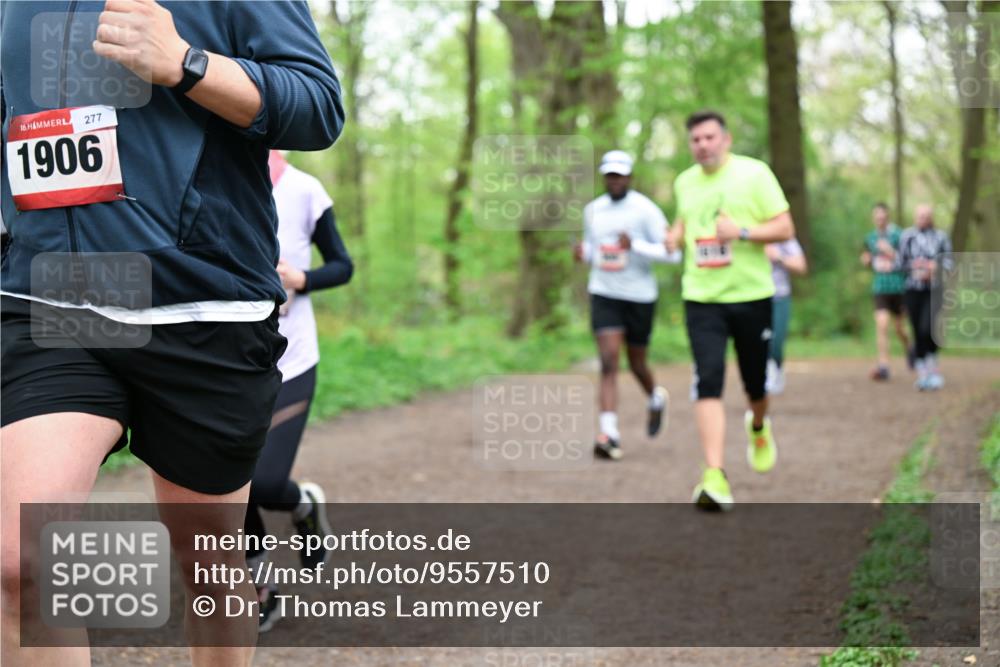 19.04.2026 - Hammer Lauf Dr. Thomas Lammeyer http://msf.ph/oto/9557510 19.04.2026 12:41:47 Laufen 277, 1906 meine-sportfotos.de
