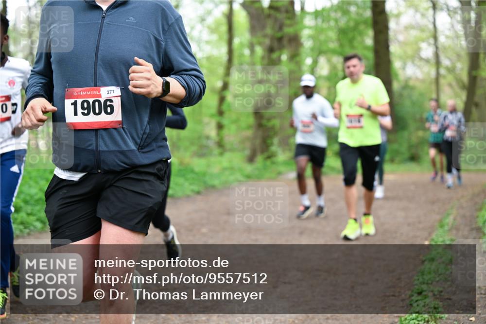 19.04.2026 - Hammer Lauf Dr. Thomas Lammeyer http://msf.ph/oto/9557512 19.04.2026 12:41:47 Laufen 277, 1906 meine-sportfotos.de