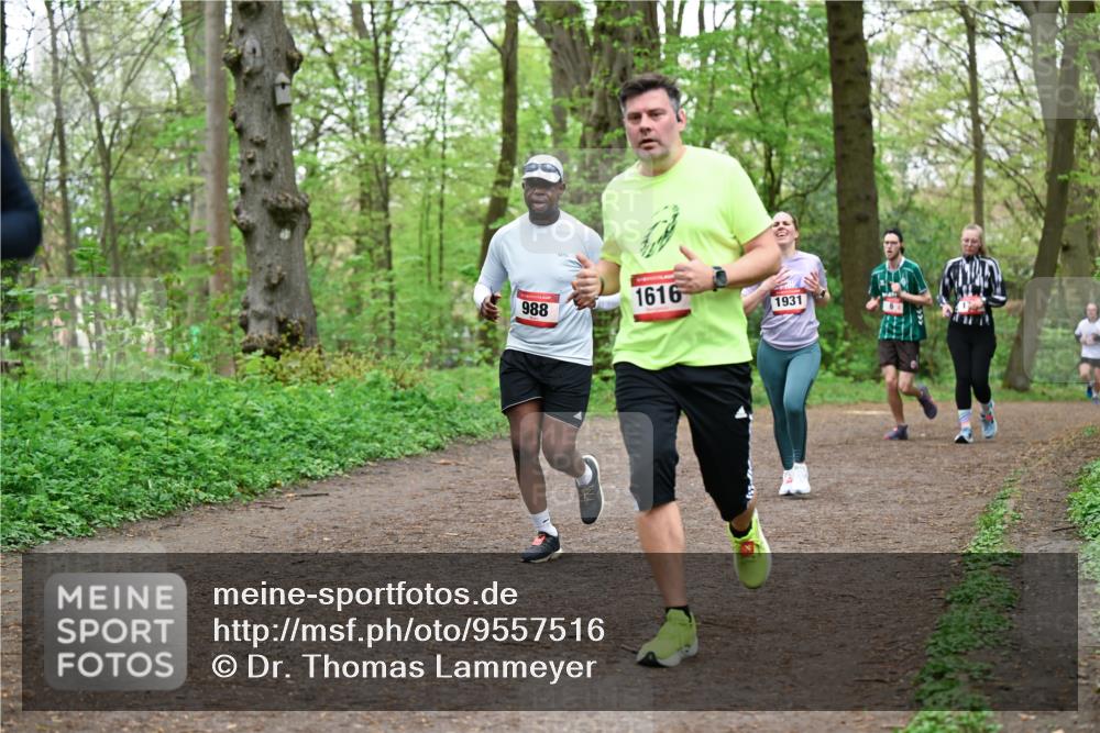 19.04.2026 - Hammer Lauf Dr. Thomas Lammeyer http://msf.ph/oto/9557516 19.04.2026 12:41:48 Laufen 988, 1616, 1931 meine-sportfotos.de
