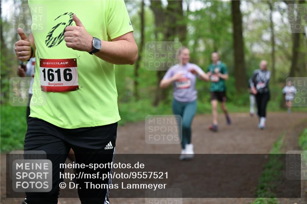 19.04.2026 - Hammer Lauf Dr. Thomas Lammeyer http://msf.ph/oto/9557521 19.04.2026 12:41:49 Laufen 1616 meine-sportfotos.de