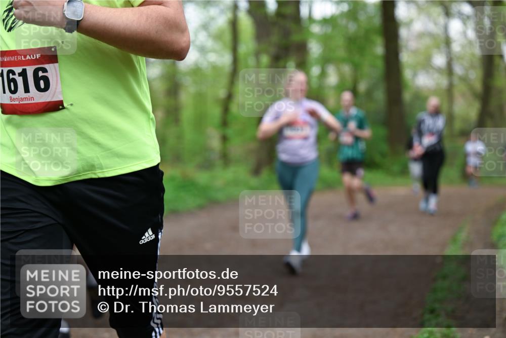19.04.2026 - Hammer Lauf Dr. Thomas Lammeyer http://msf.ph/oto/9557524 19.04.2026 12:41:49 Laufen 1616 meine-sportfotos.de
